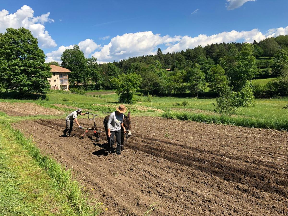 Apartament Bauernhof Hof Unternberg Magre all' Adige Zewnętrze zdjęcie